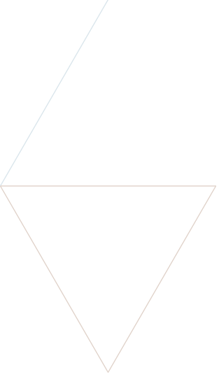 triangle6 - AVESTICO